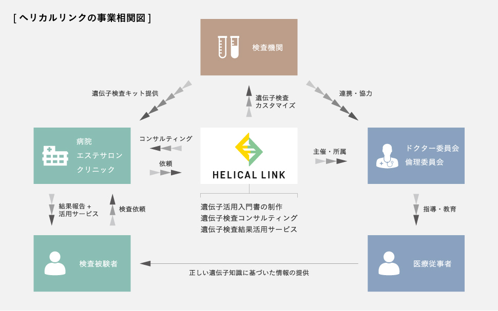 ヘリカルリンクの事業相関図