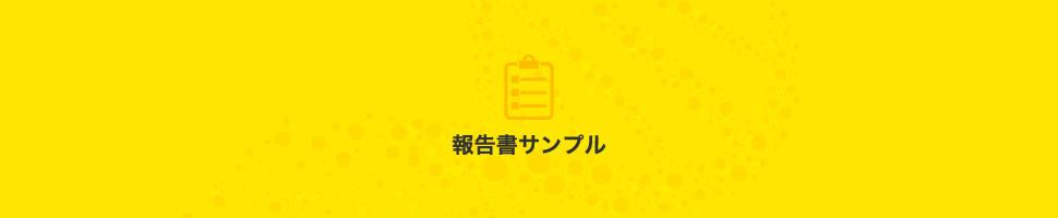 報告書サンプル